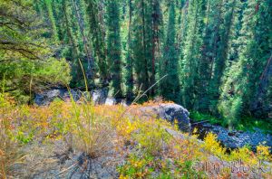 35  DG253A_B_C_D_Trail-to-Ousel-Falls.jpg